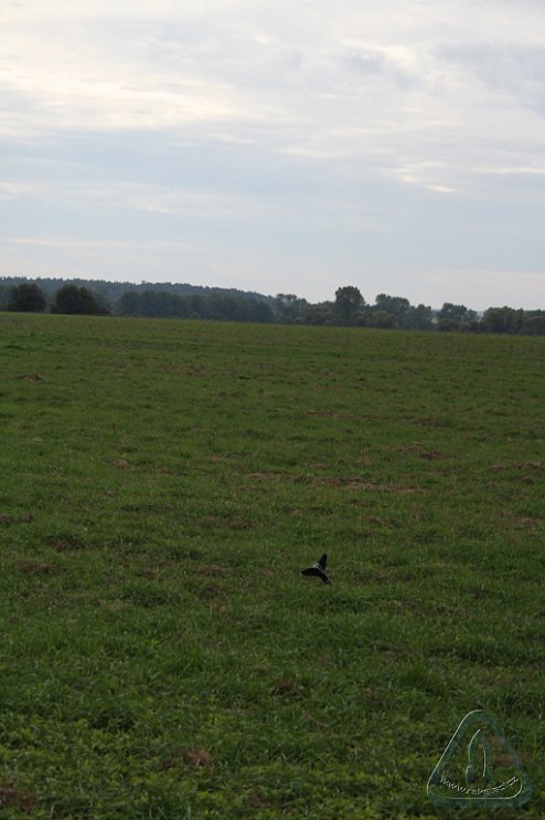 2012 Koprník MirekTopinka